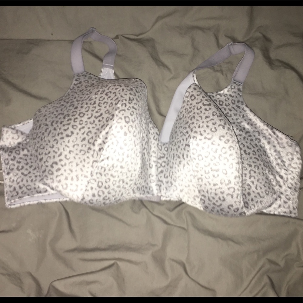 Back Smoothing Full Coverage by Cacique